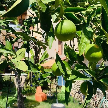 Limonade לינה וארוחת בוקר פוצ'ה